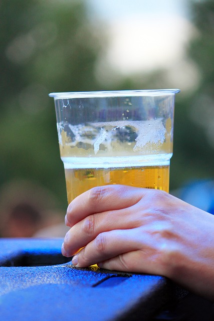 Tastings and workshops at the Beer and Gin Festival